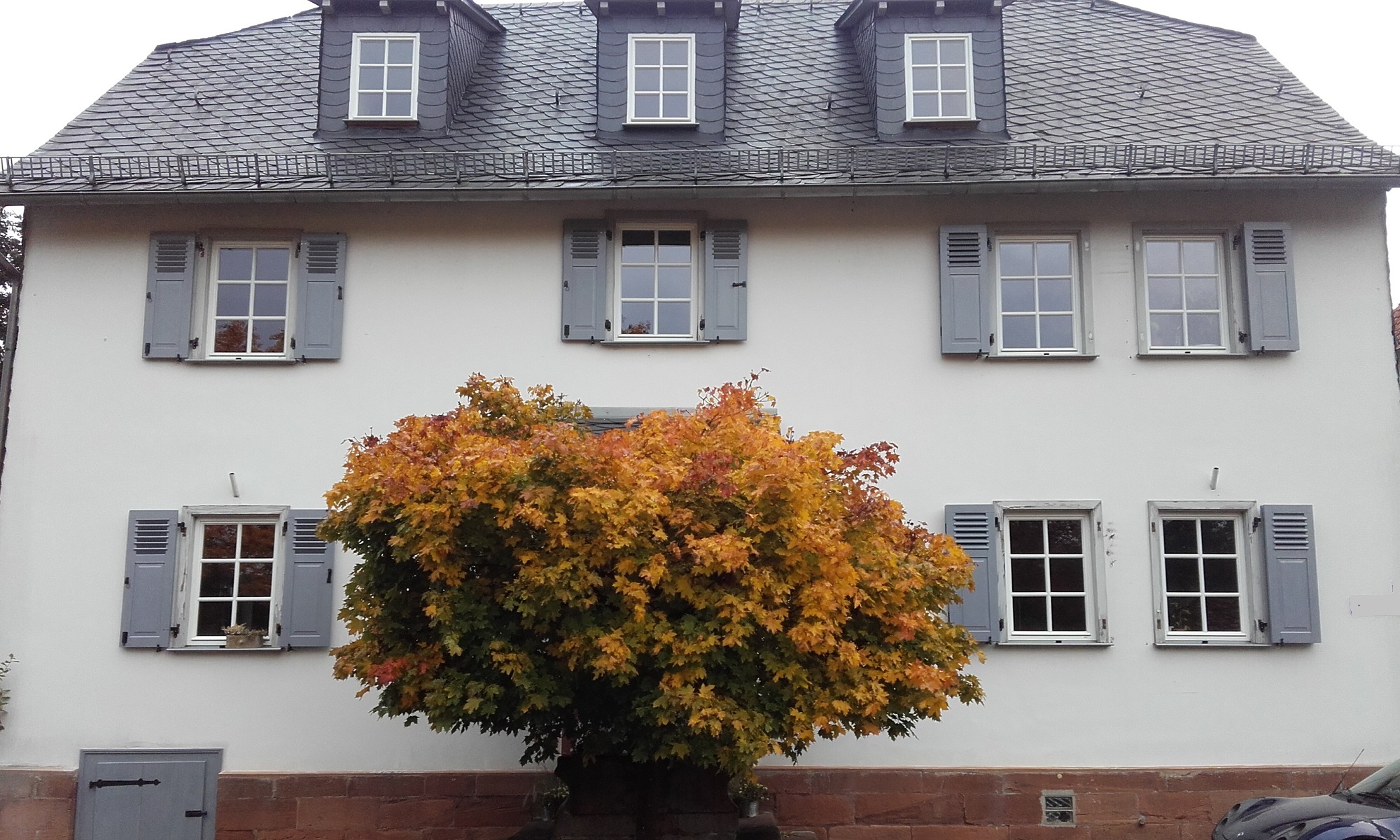 Klappladen aus Holz oder Aluminium